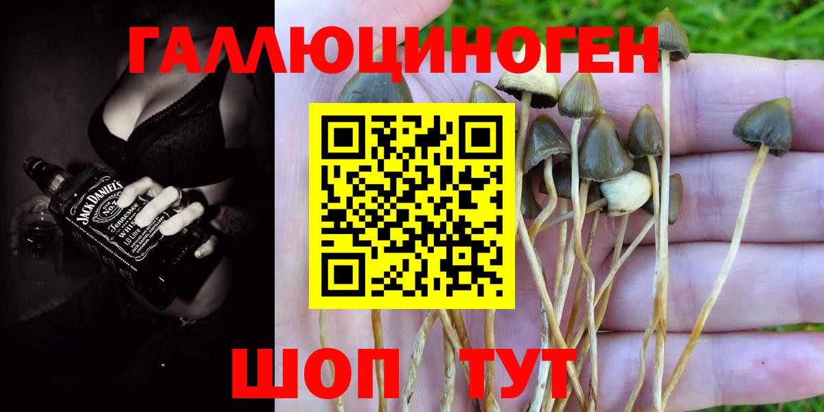 Псилоцибиновые грибы MAGIC MUSHROOMS Пенза