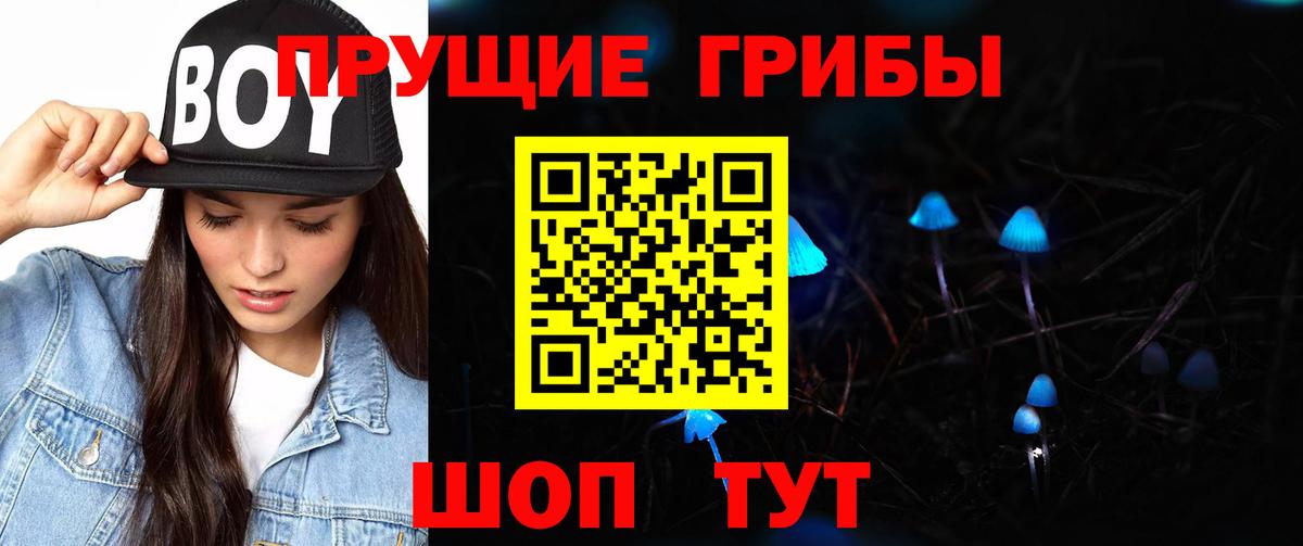 Пенза  Галлюциногенные грибы Psilocybe  Вход с VPN 